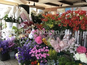 4 9の東京 新小岩の様子 花屋ブログ 東京都葛飾区の花屋 須藤花店にフラワーギフトはお任せください 当店は 安心と信頼の花キューピット加盟店です 花キューピットタウン