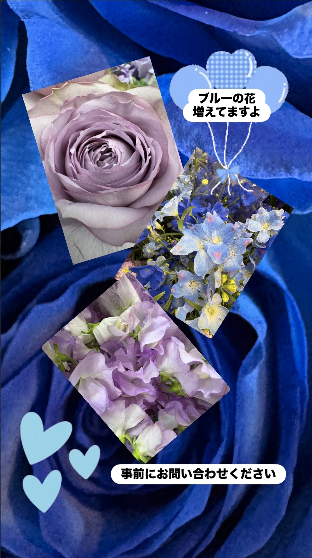 人気上昇中のブルーの花｜希少カラーのフラワーを楽しむ|「須藤花店」　（東京都葛飾区の花屋）のブログ